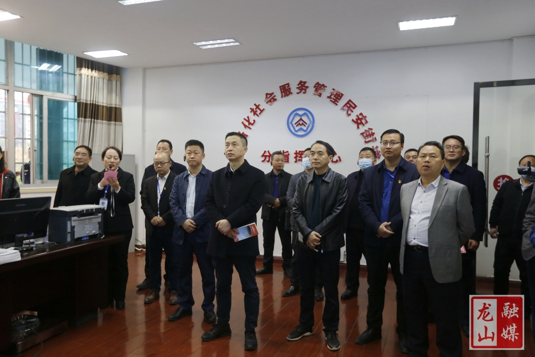 全州州域社会治理现代化试点工作推进会走进龙山