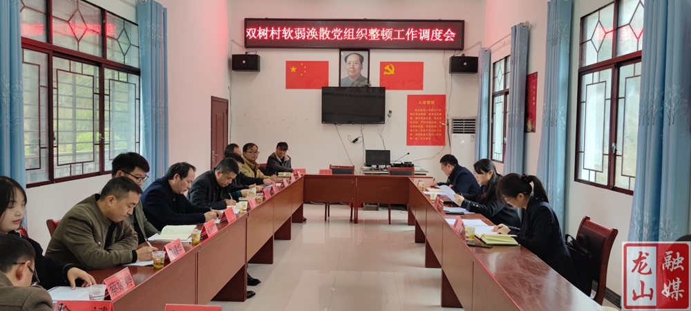 时荣芬主持召开双树村软弱涣散党组织整顿工作调度会