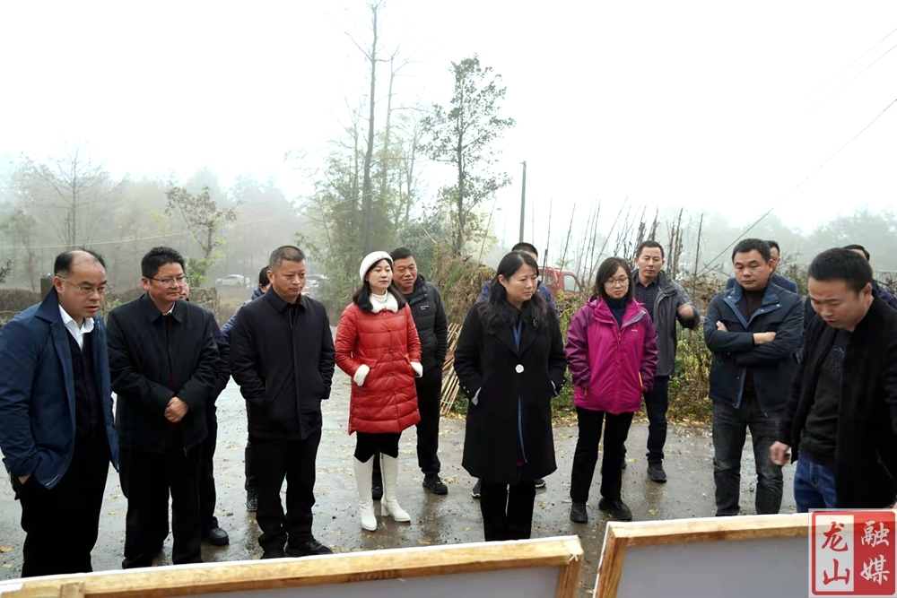 时荣芬调度里耶八面山景区建设工作