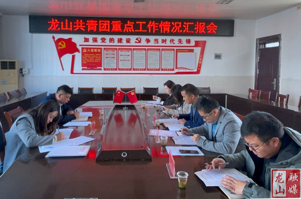 团州委督导龙山共青团重点工作