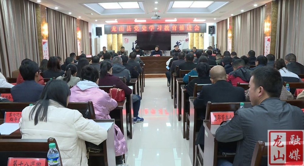 龙山县召开党史学习教育推进会