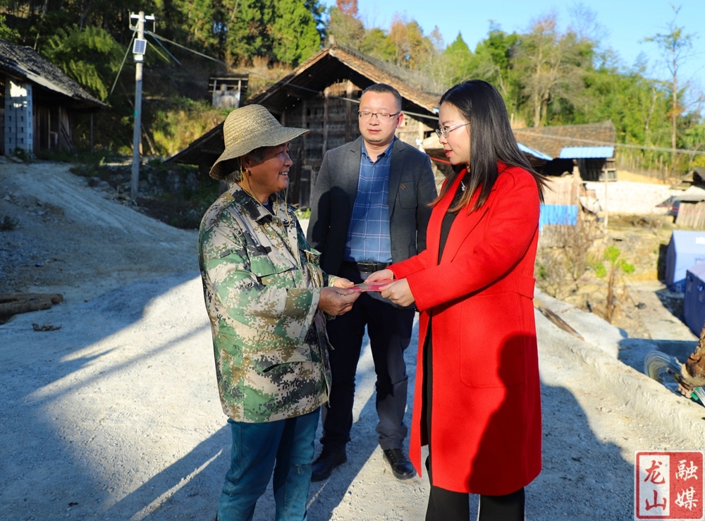 樊未到农车镇走访慰问困难党员