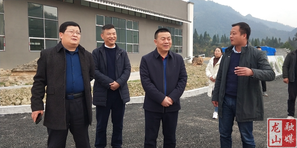 黄瑶调研指导红岩溪镇乡村振兴工作