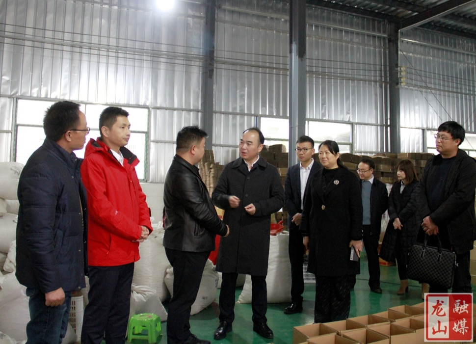 蔡锋一行到洗洛镇调研乡村振兴对口帮扶工作