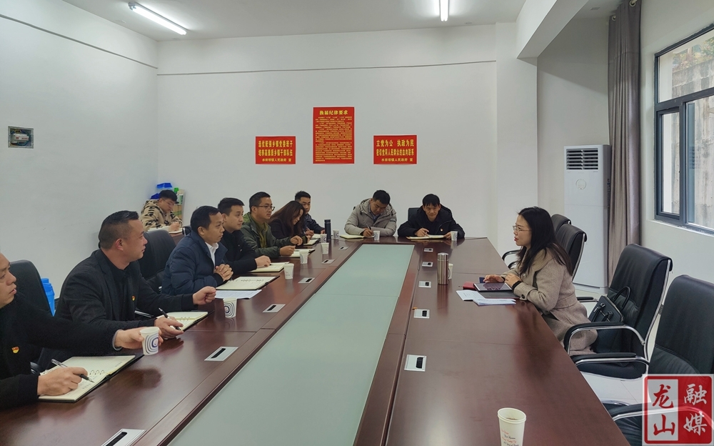 樊未到水田坝镇调研指导基层党组织建设工作