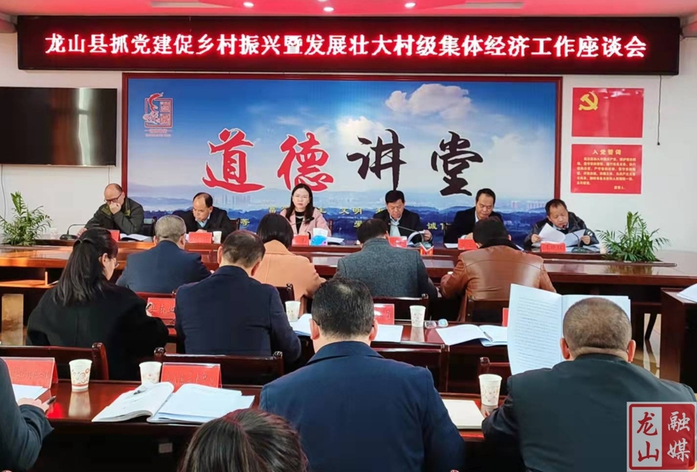 龙山县抓党建促乡村振兴暨发展壮大村级集体经济工作座谈会召开