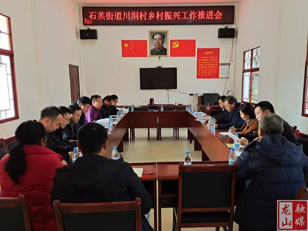 杨波到川洞村调研乡村振兴工作