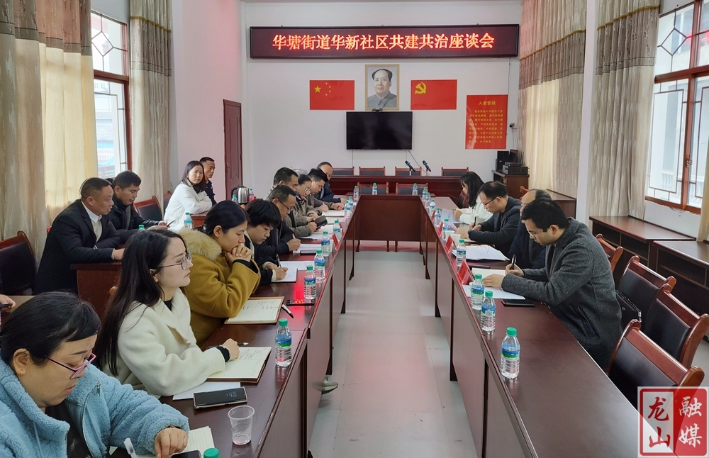 谭必松一行到华塘街道调研共建共治工作
