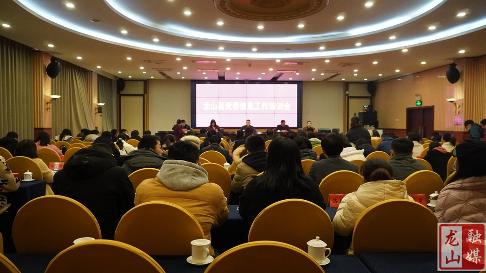 龙山县召开党委信息工作培训会