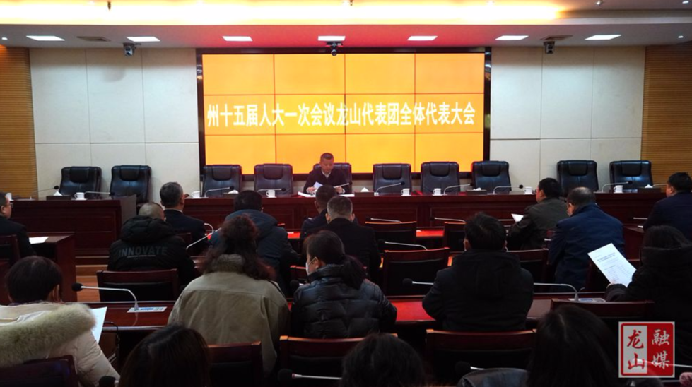 州十五届人大一次会议龙山代表团全体代表大会召开