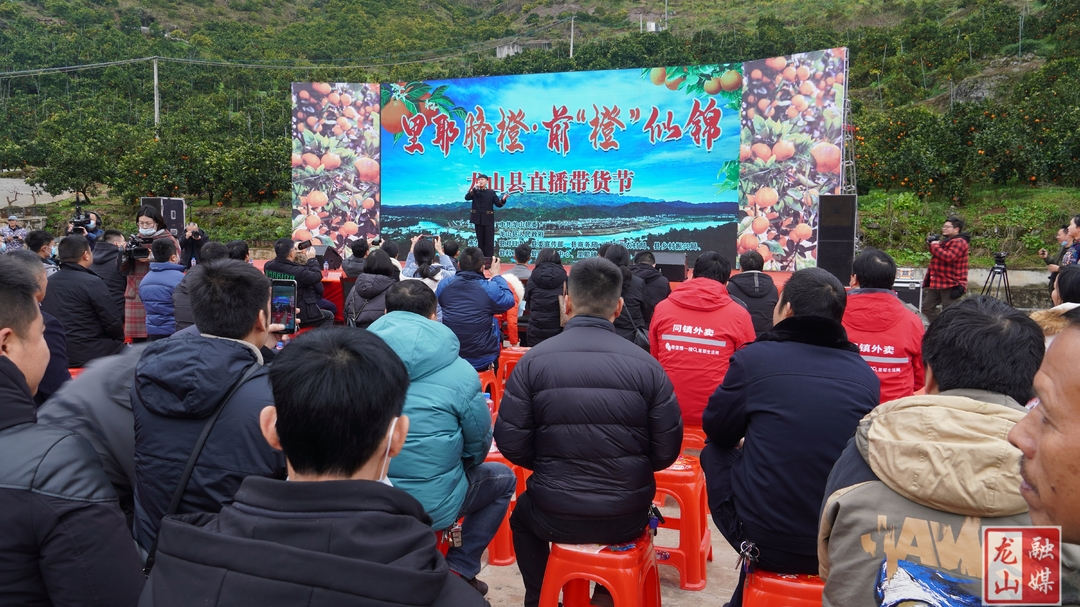 龙山县“里耶脐橙.前‘橙’似锦”直播带货节启动