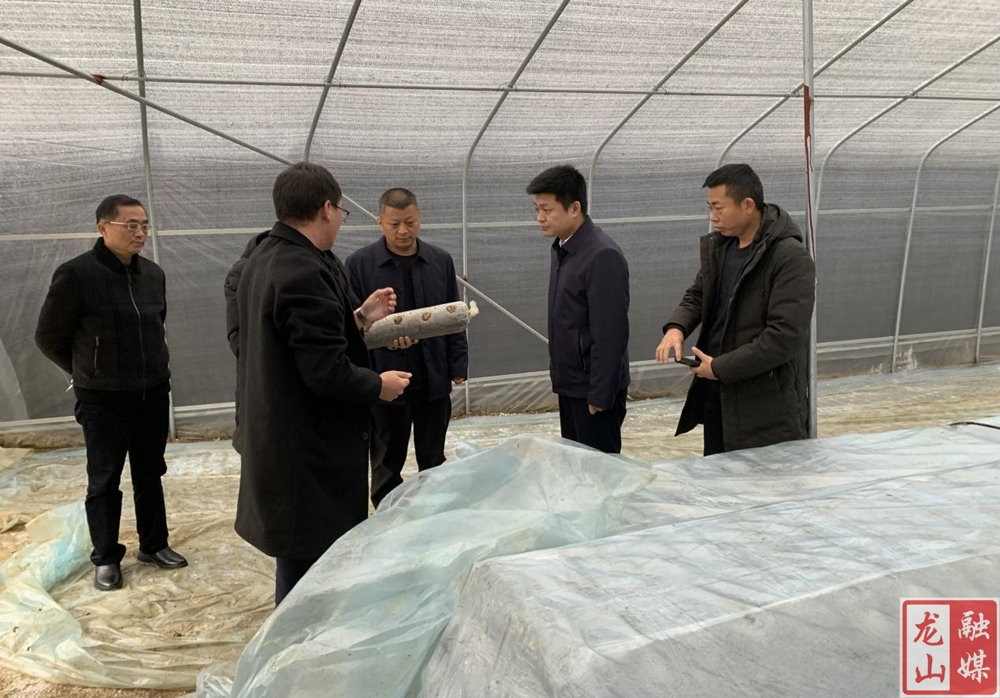 黄勇到帮扶村调研指导村集体经济发展