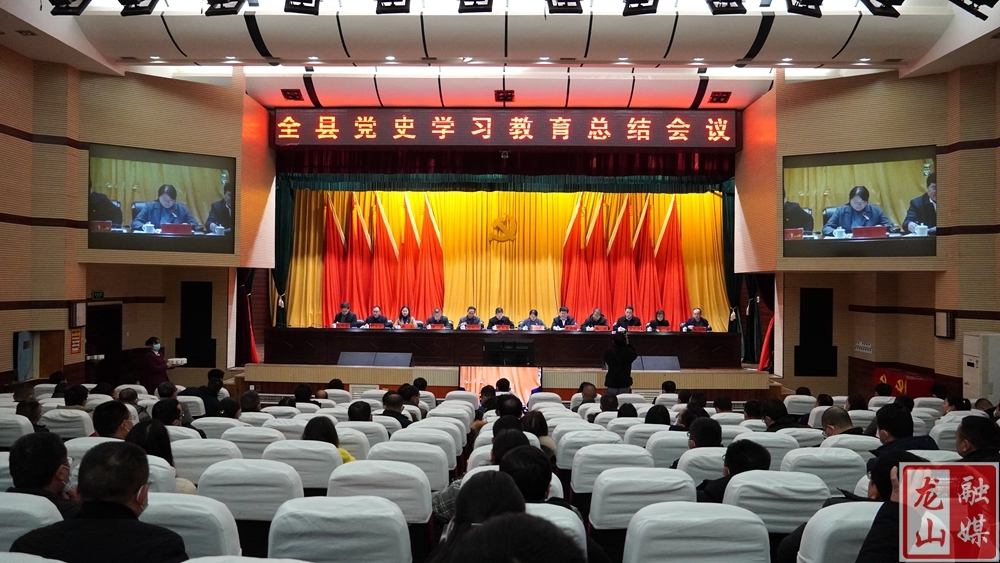 龙山县召开党史学习教育总结会议