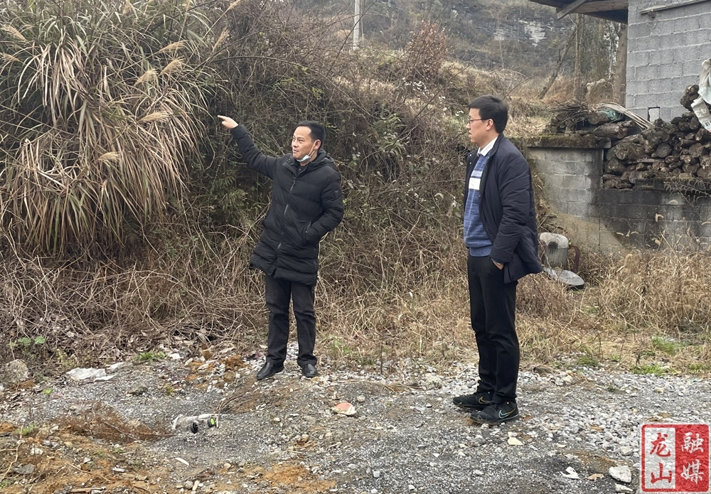 【新春走基层】向怿文入村督查疫情防控、安全生产等重点工作