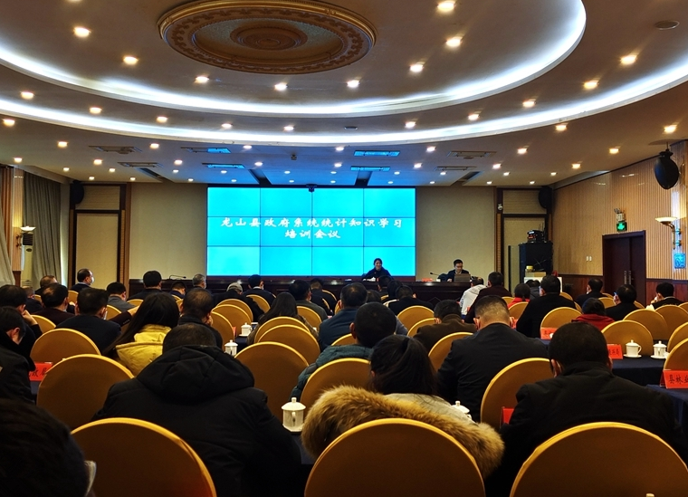 龙山县举办政府系统统计知识学习培训会议