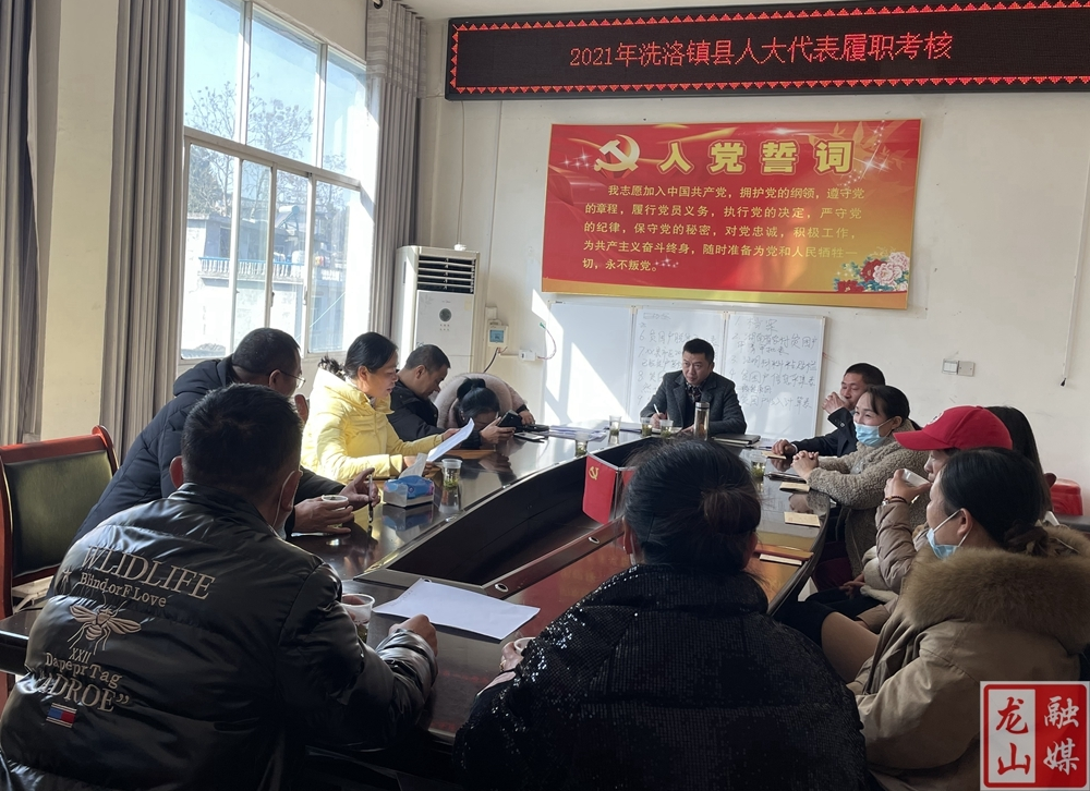 【新春走基层】唐晓萍到洗洛镇进行县人大代表履职考核