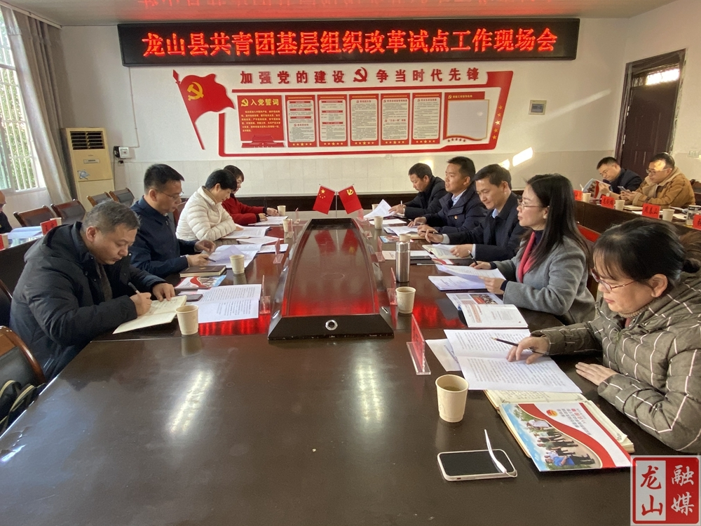 夏彬华一行调研来县调研共青团基层组织改革试点和乡村振兴工作