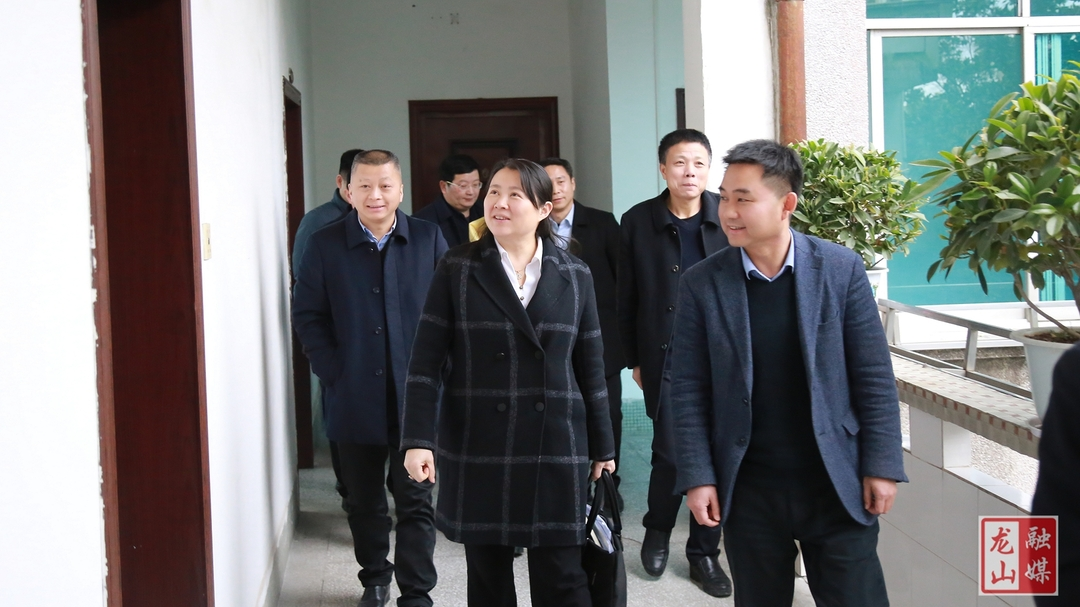 时荣芬调研县人大常委会工作