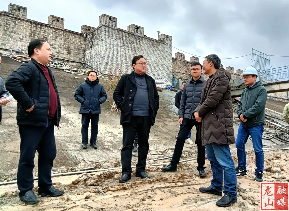 李延堃到里耶调研酉水河防洪保护圈建设项目