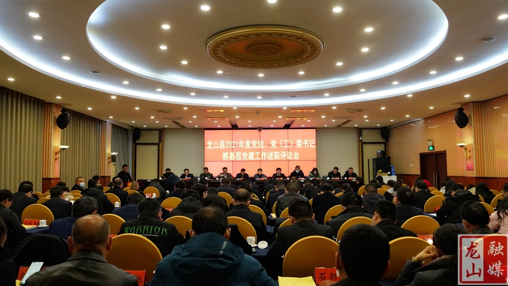 龙山县开展2021年度党组、党（工）委书记抓基层党建工作述职评议