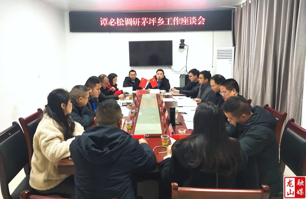 谭必松到茅坪乡调研
