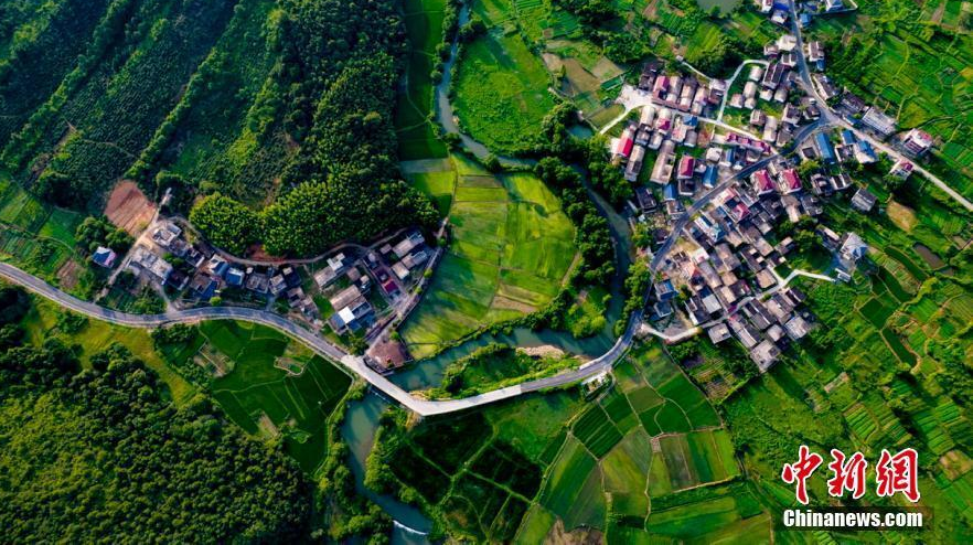 【奋进新征程 建功新时代】逐绿而行，绘就中国发展生态底色