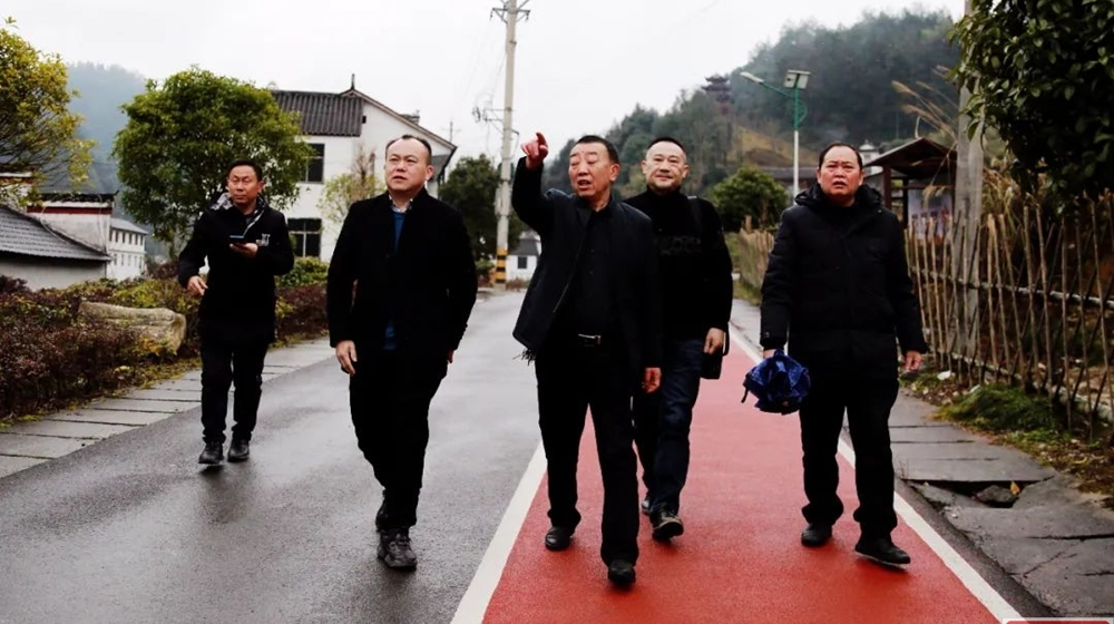 赵雪峰带队赴恩施考察学习乡村振兴工作