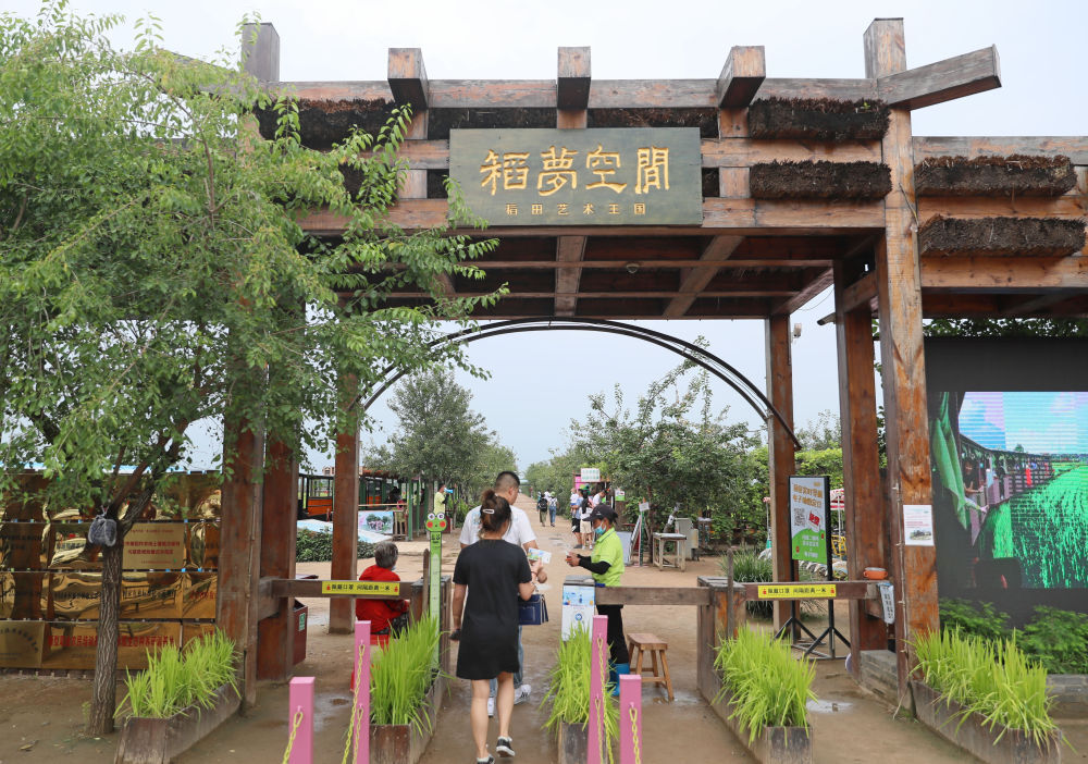 奋进新征程 建功新时代丨新生活新起点上接续奋斗——各地稳产业促就业巩固脱贫成果观察