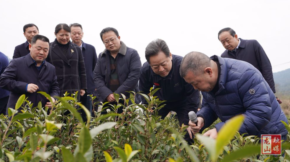 虢正贵到龙山县调研春耕备耕和乡村振兴工作