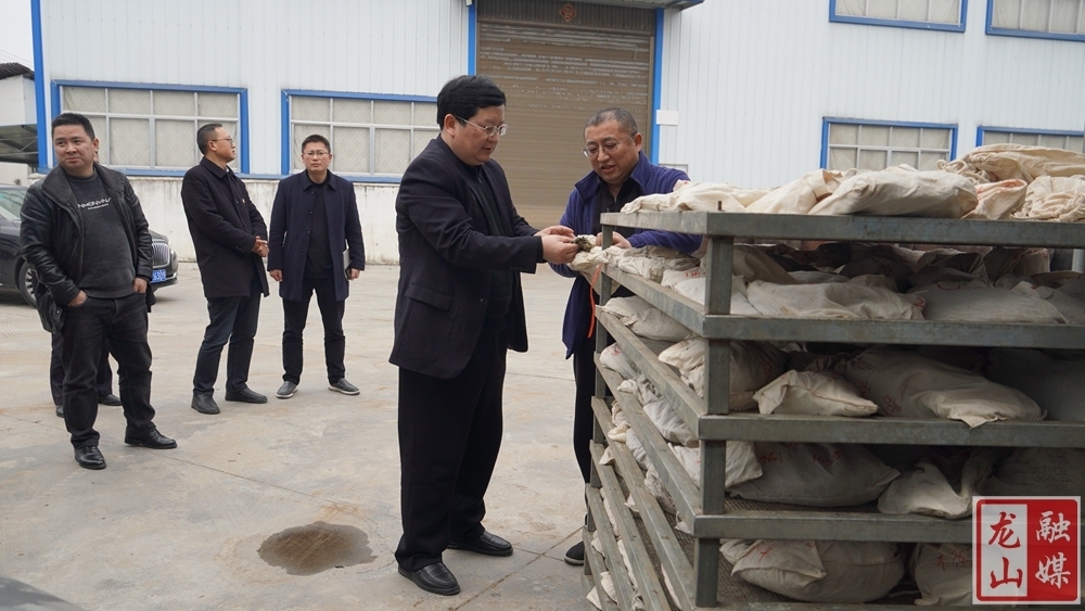 黎新松专题调研优化营商环境工作