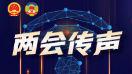 两会传声｜讲好湖南故事 展现湖南形象