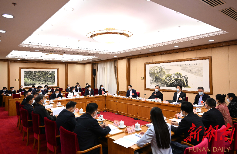 湖南代表团分组审查计划、预算报告和草案 审议地方组织法修正草案等 张庆伟毛伟明等参加讨论