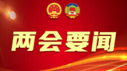 湖南代表团继续审议“两高”工作报告 张庆伟毛伟明等参加讨论