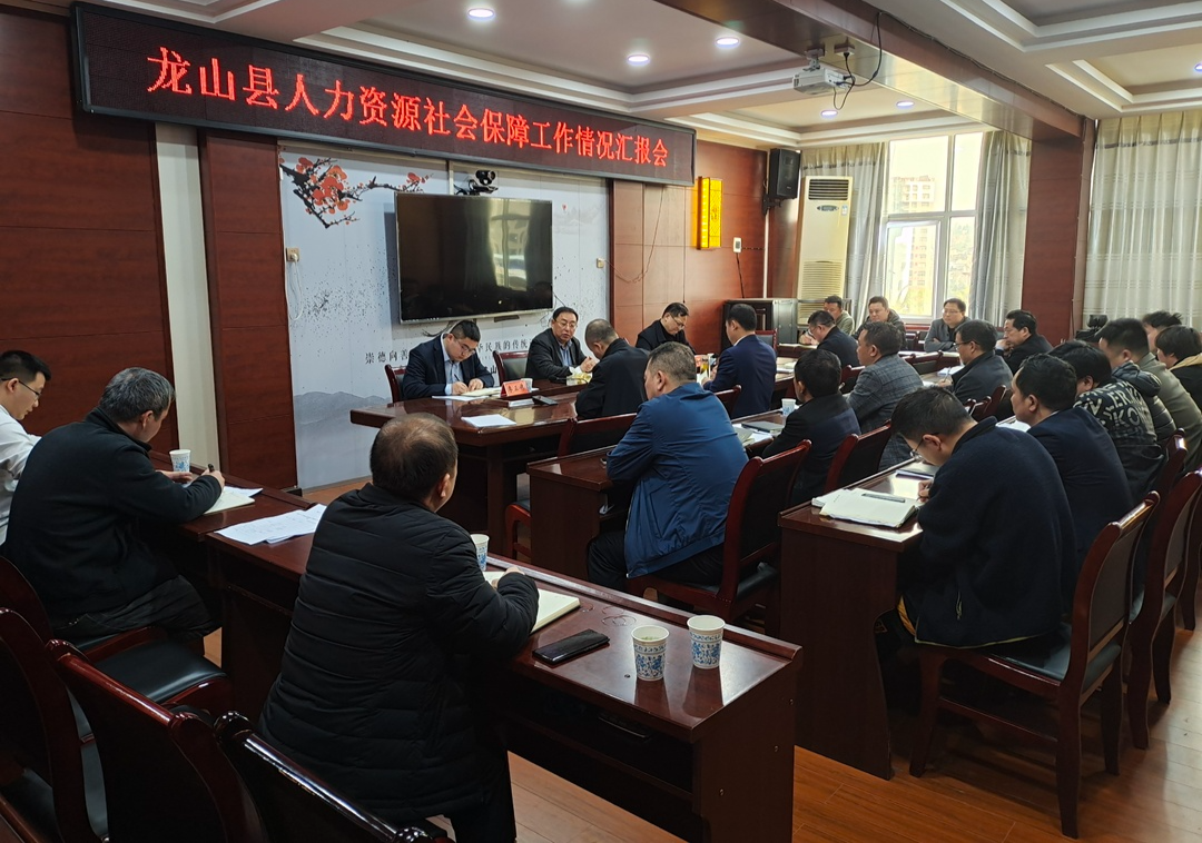 石龙调研龙山县人力资源社会保障工作