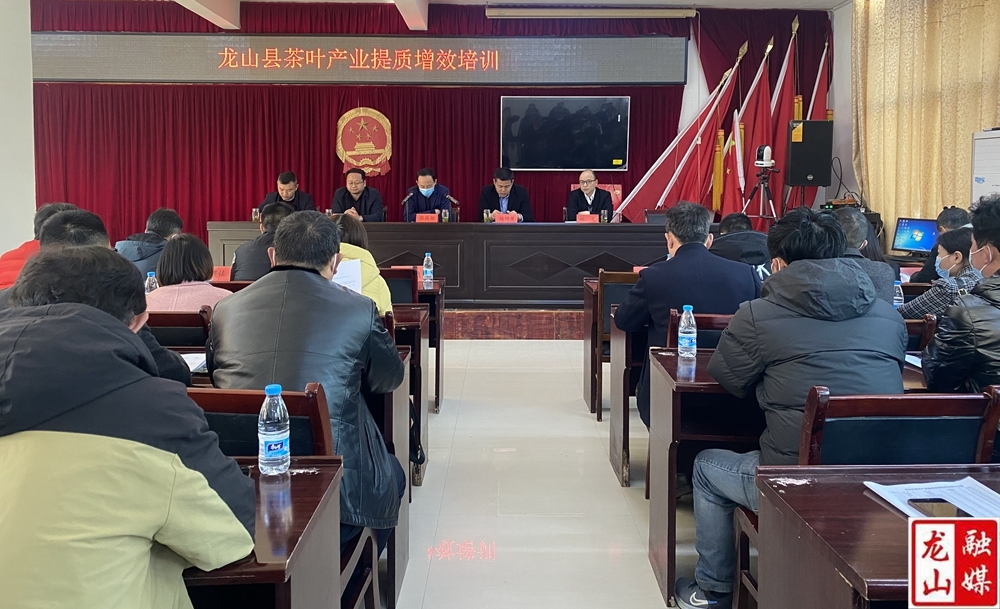 省州专家现场实操集中开展茶叶提质增效培训