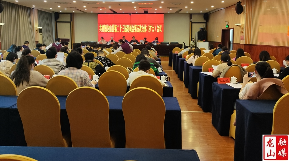 共青团龙山县第二十三届委员会第五次全体（扩大）会议召开