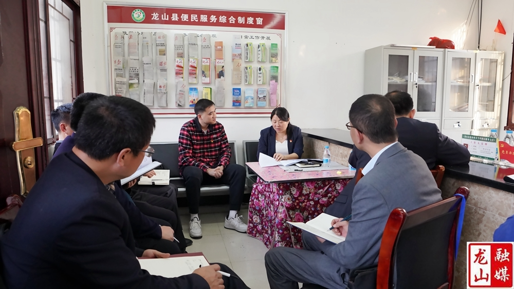 时荣芬在石羔街道、洗洛镇调研乡村振兴工作