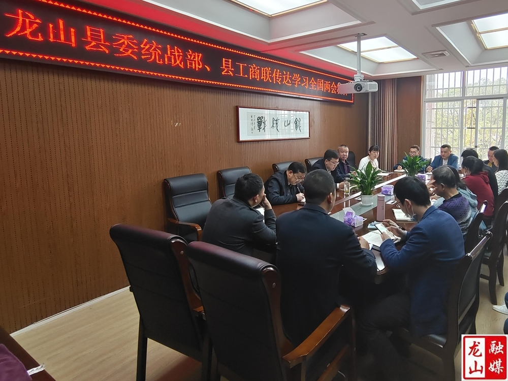 龙山县委统战部、县工商联传达学习全国两会精神