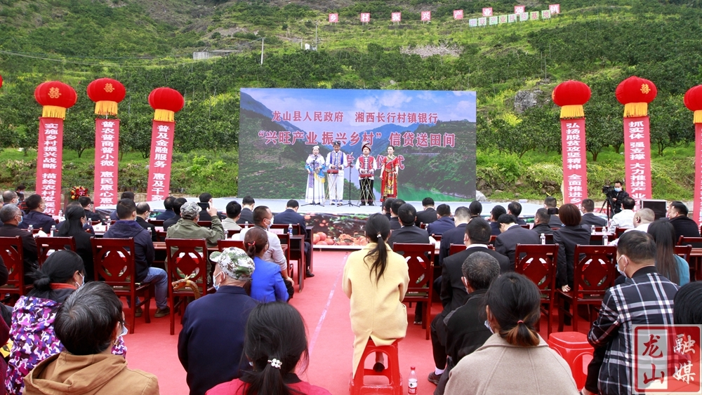 龙山县人民政府—湘西长行村镇银行  举办“兴旺产业 振兴乡村”信贷送田间现场发放仪式