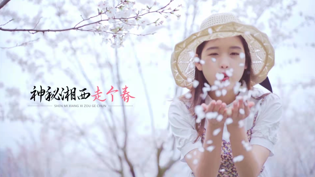 神秘湘西走个春丨登上春天的动车，慢游花海湘西