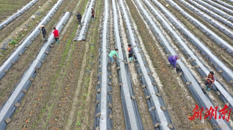 【疫情防控】疫情防控春耕生产“两不误”