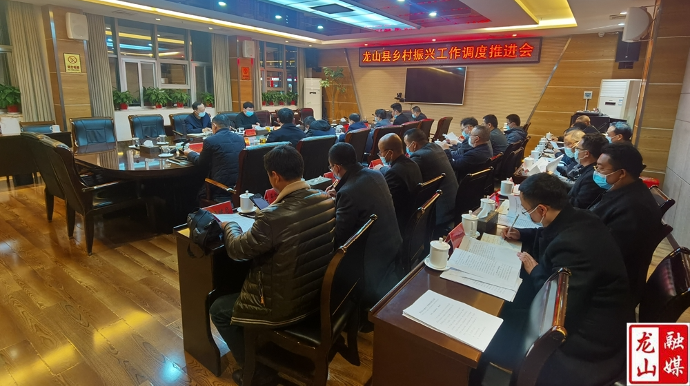 龙山县乡村振兴工作调度推进会召开
