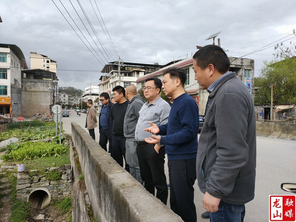 李延堃到桂塘镇调研乡村振兴示范带建设等重点工作