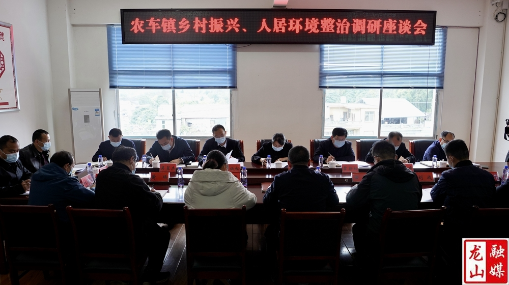 时荣芬调研农车镇、洗车河镇工作