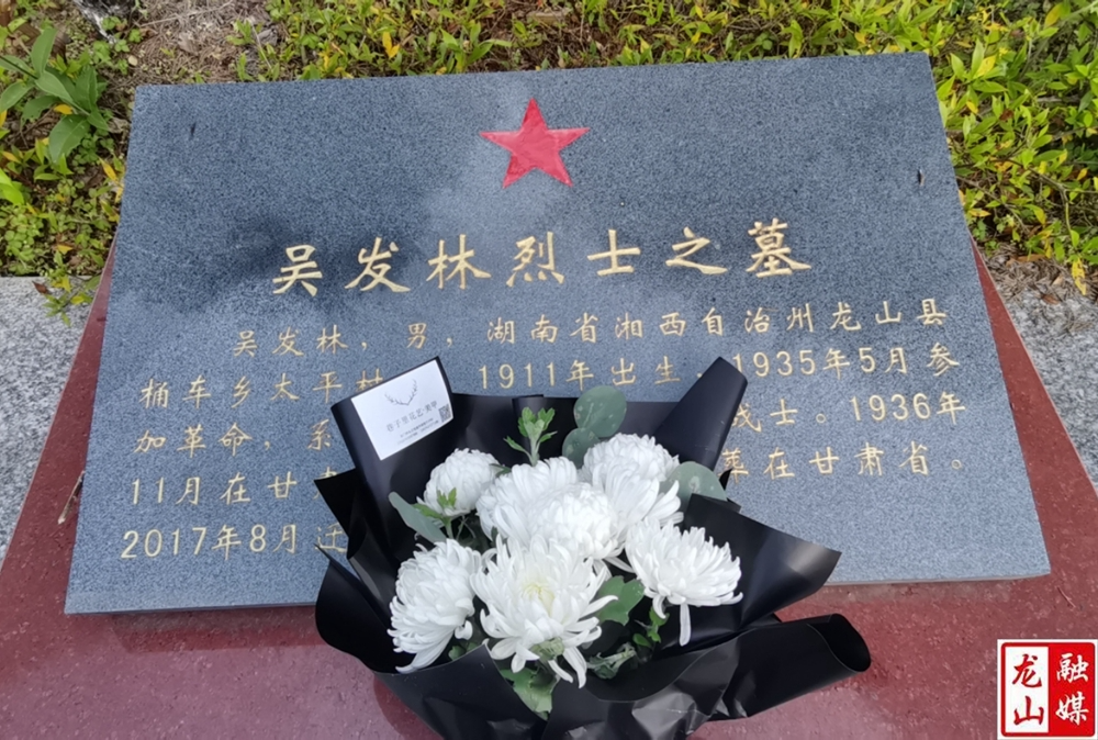 龙山烈士陵园清明祭扫服务获好评