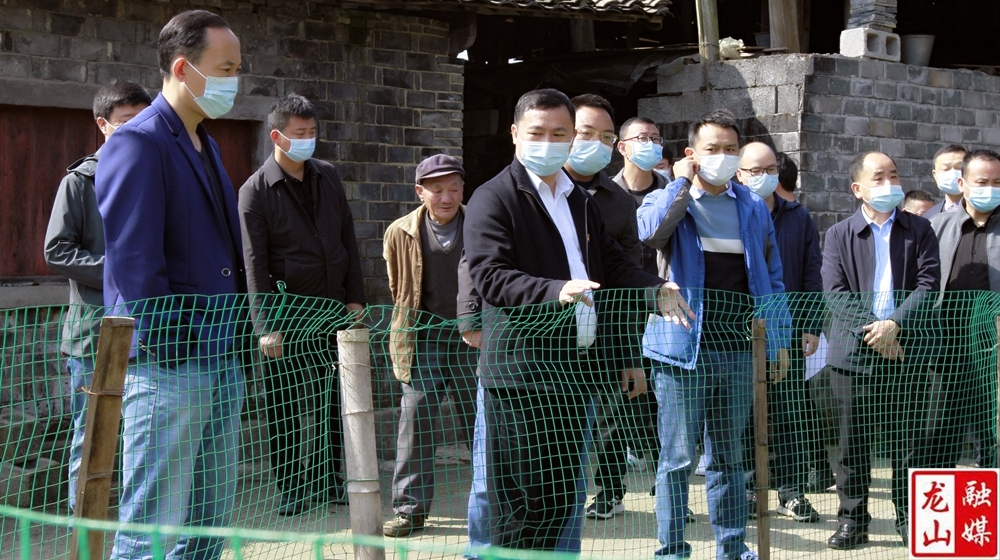 周胜益到苗儿滩镇调研乡村振兴、疫情防控、安全生产工作