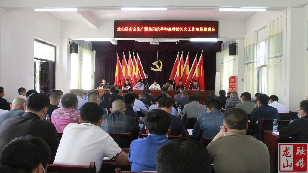 龙山县安全生产暨防汛抗旱和森林防灭火工作现场推进会召开