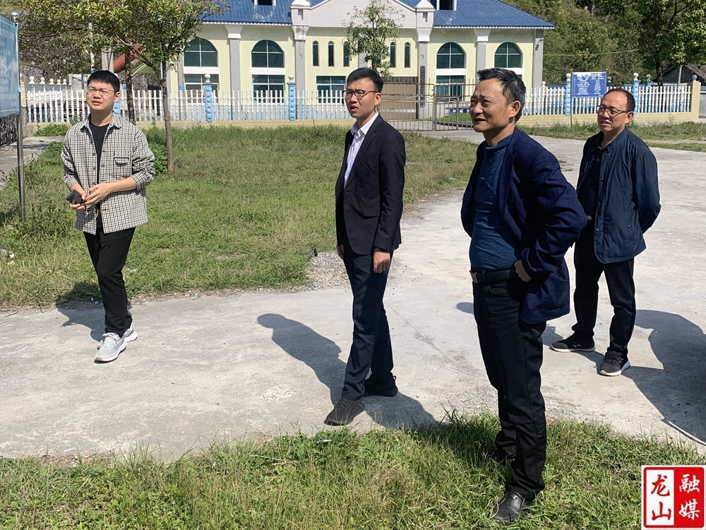 刘引检查指导防汛备汛和安全生产工作