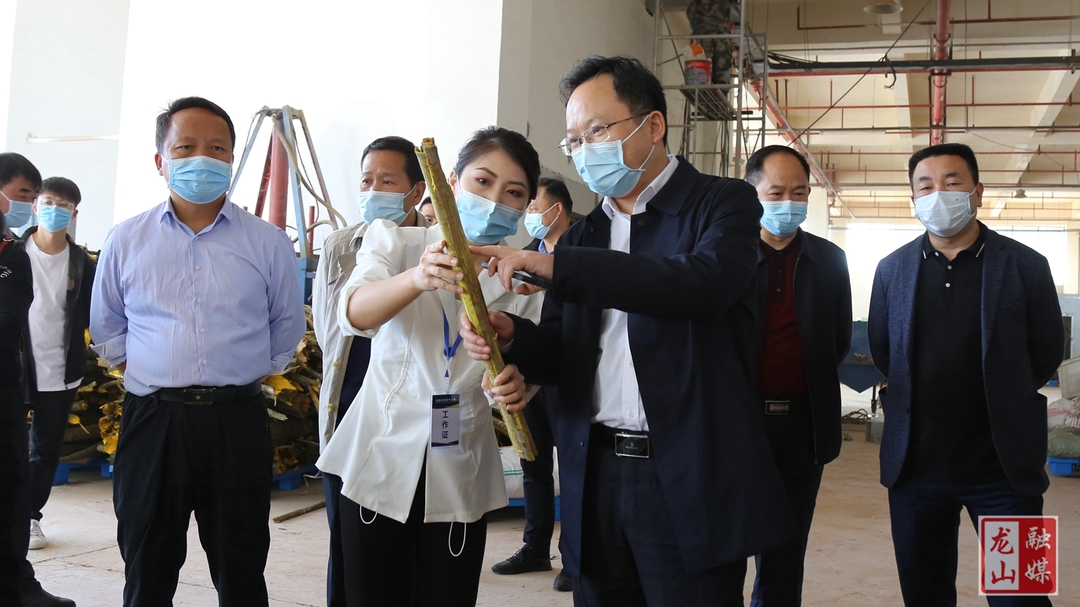 彭延敏来县调研生物医药和生物科技产业链建设及督导疫情防控工作