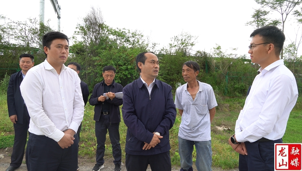 丁思清来县调研农业生产工作
